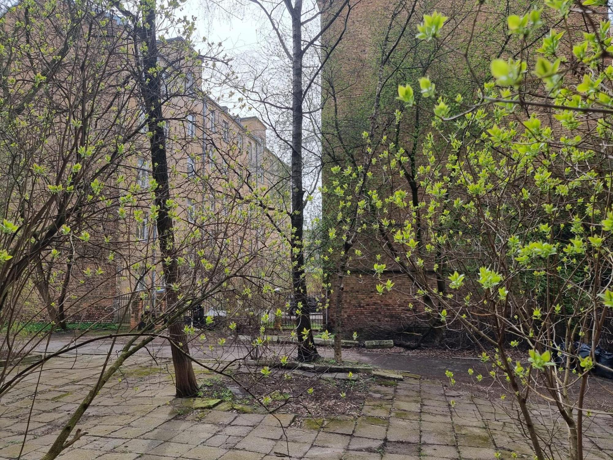 City Inn Riga Apartment, New Renovated In Quiet Center With Balcony With Parking Eksteriør billede